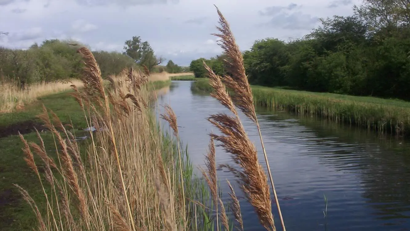 Moths and Milestones: How One Tiny Creature Helped a Nature Reserve Hit 10,000 Species!