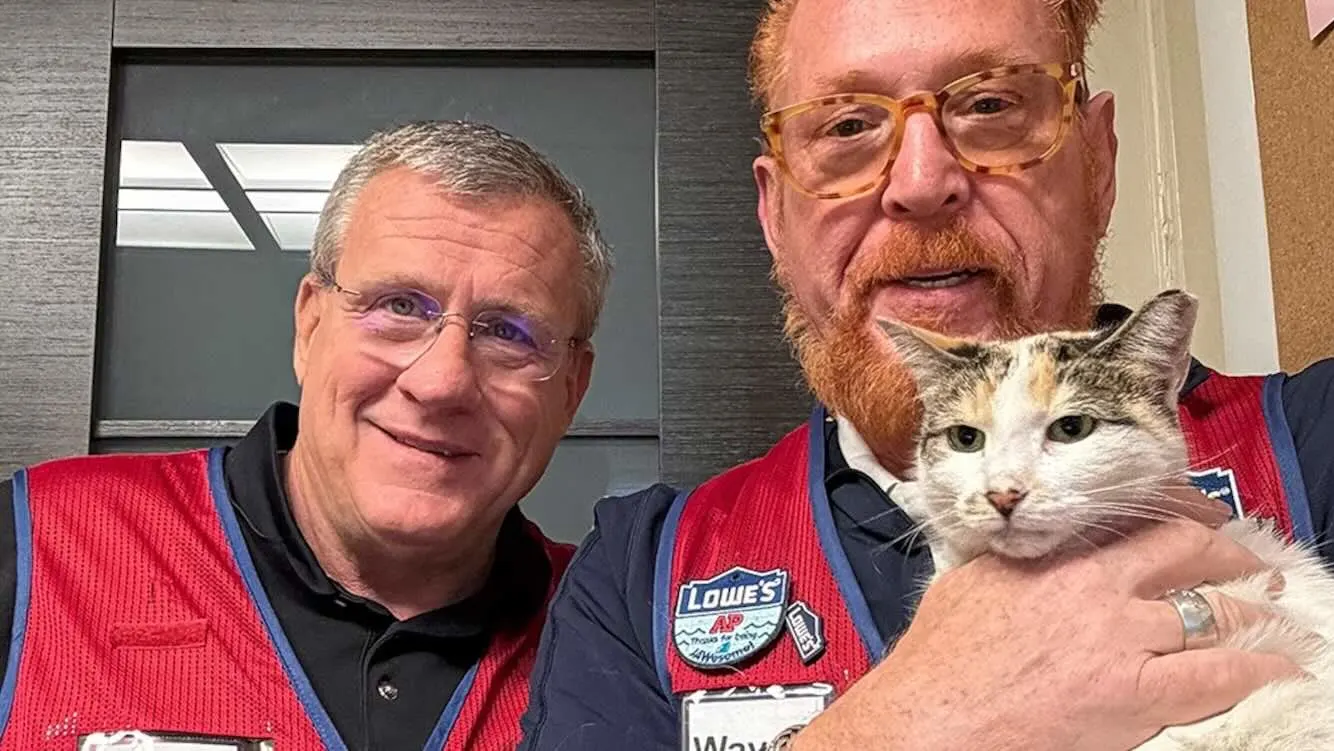 Feline Frenzy: The Heartwarming Tale of Francine, the Lowes Cat Who Went on an Unexpected Adventure!