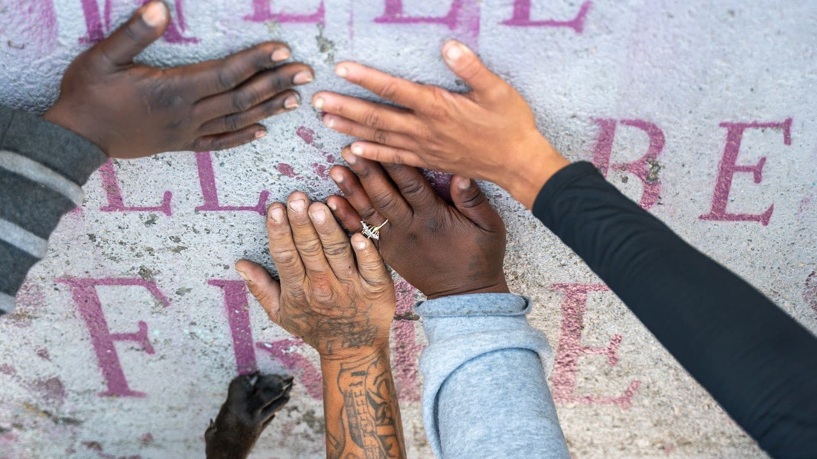When Hope Meets Concrete: The Fight for a Place to Call Home