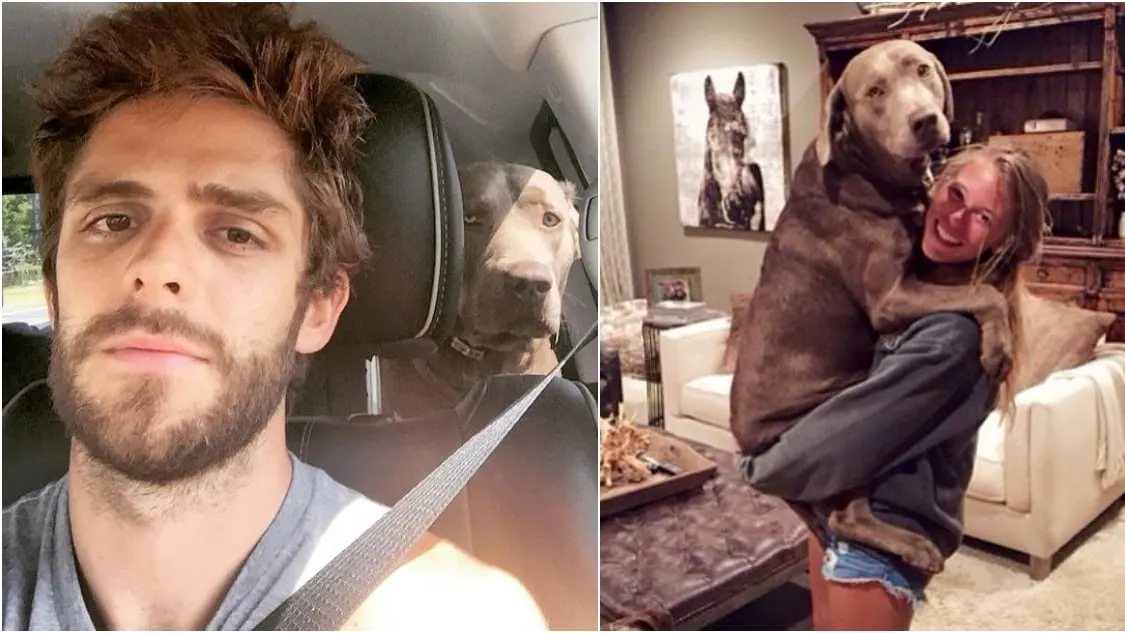 Thomas Rhett's Heartfelt Goodbye: Remembering Cash the Dog