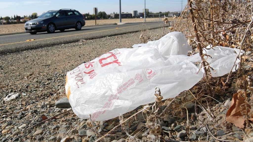 California Takes the Plastic Bag Fight to Court: Are Companies in Hot Water?