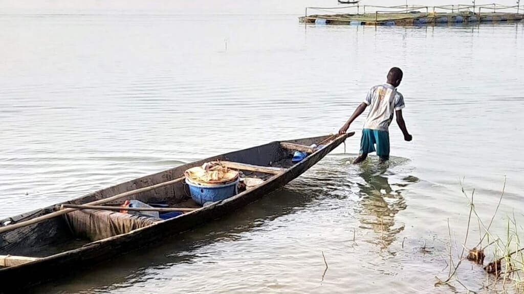 Niger's Awesome Health Win: How Ivermectin Helped Erase River Blindness!