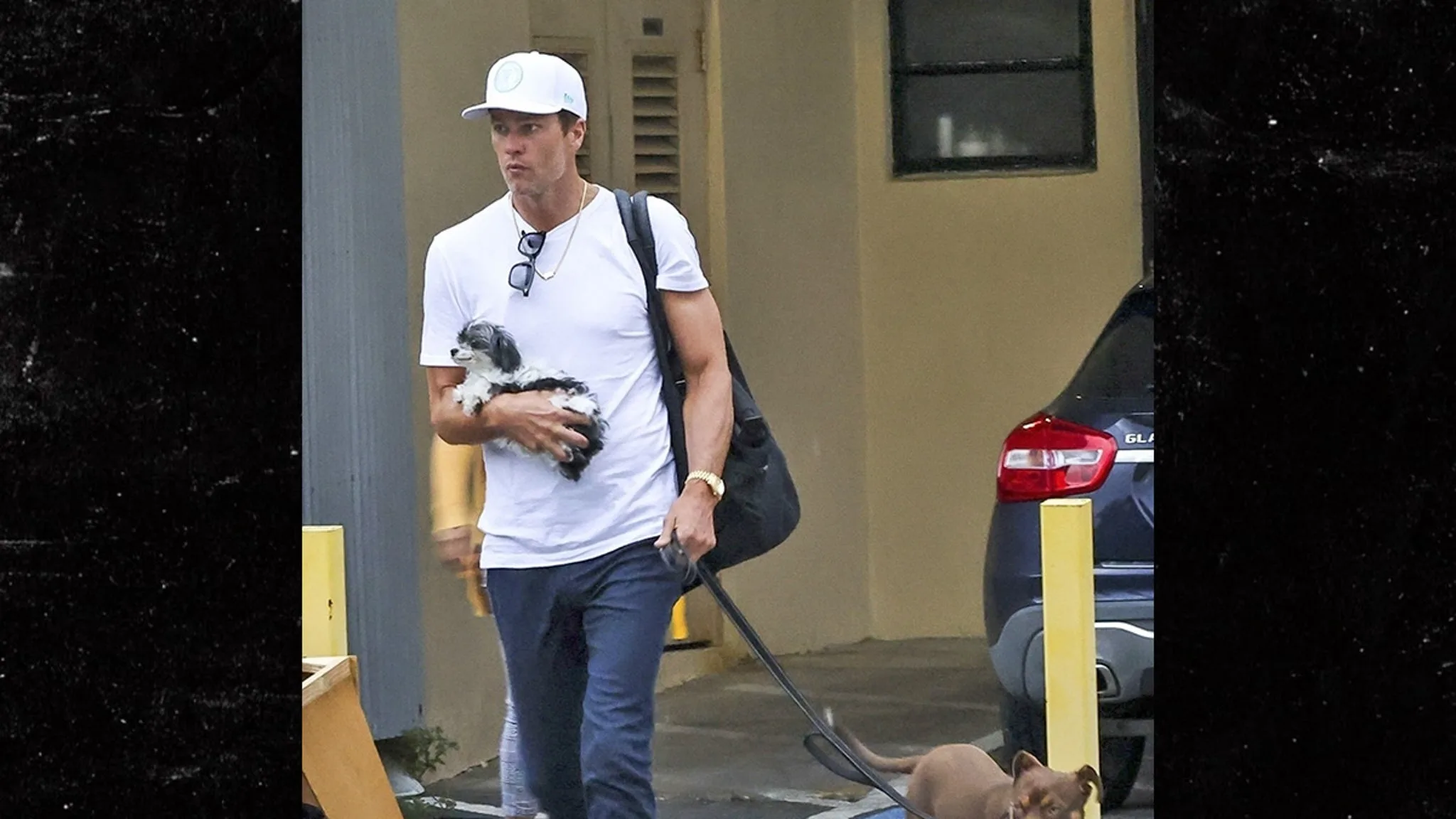 Tom Brady's Paws-itively Wild Adventure: The Truth Behind Cloning His Dog!