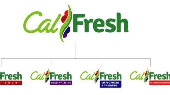 CalFresh Benefits Are Back! What You Need to Know About This Food Assistance Reboot