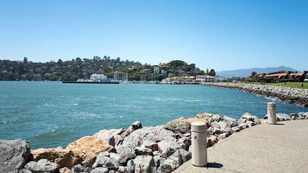 Tiburon Sparks a Tobacco Revolution: No Puff Left Behind!