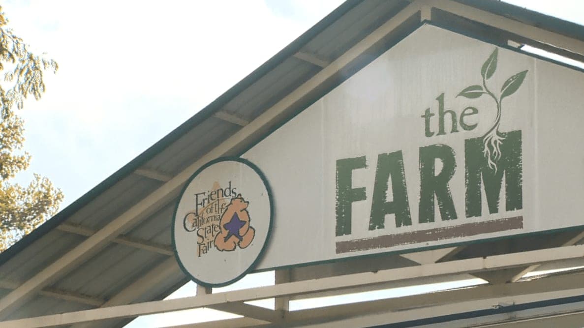 Hidden Gem: How a Secret Farm at Cal Expo is Feeding Sacramento Families