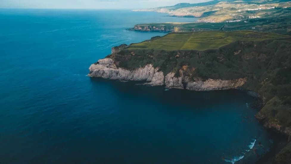 Making Waves: A Sanctuary for Whales in the Atlantic!