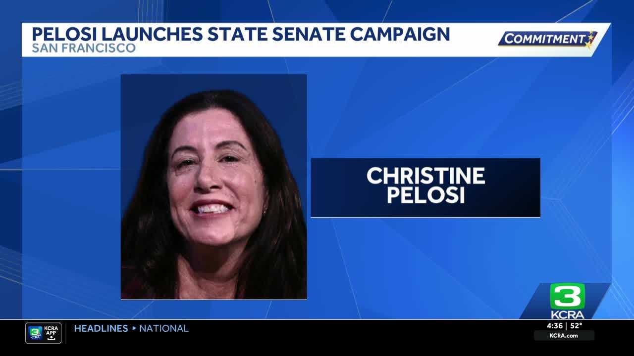 Christine Pelosi: The Next Political Powerhouse or Just Another Family Affair?
