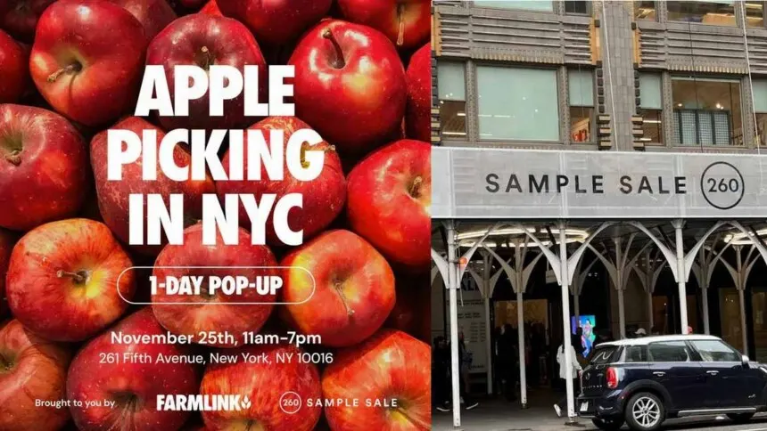Get Your Apples Here: Midtown’s Pop-Up Orchard Tackles Hunger with Free Fruit!