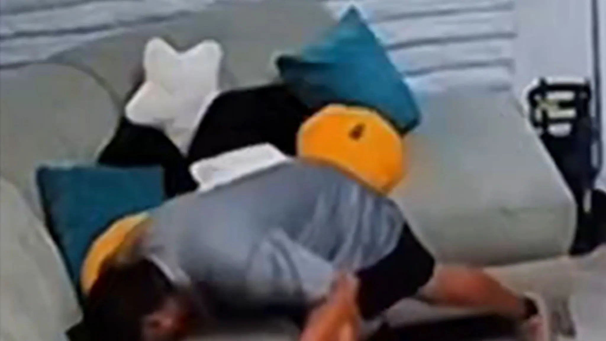 Caught on Camera: The Creep Who Sniffed the Sofa!