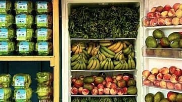 Harlem's Hidden Gem: A Community Fridge That's Changing Lives!