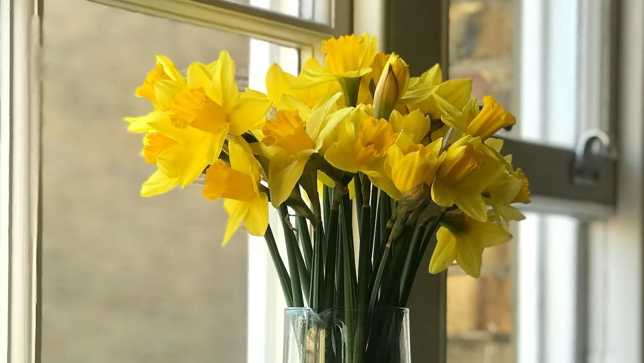 From Bouquets to Blooming Tributes: A Heartfelt Gift Grows into a Community Memorial