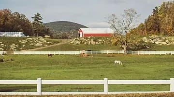 Farming vs. Fortune: Bridging the Urban-Rural Divide One Fellowship at a Time