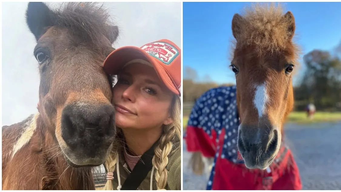 Miranda Lambert's Heartbreak: A Country Star Bids Farewell to Sugar Pie and Adrianna