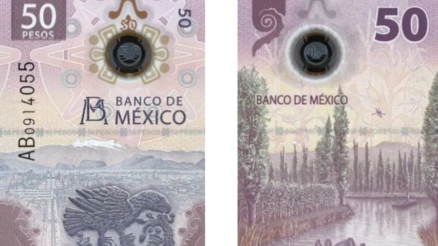 Hoarding Delight: The Adorable Axolotl Takes Over Mexico’s 50 Peso Note!