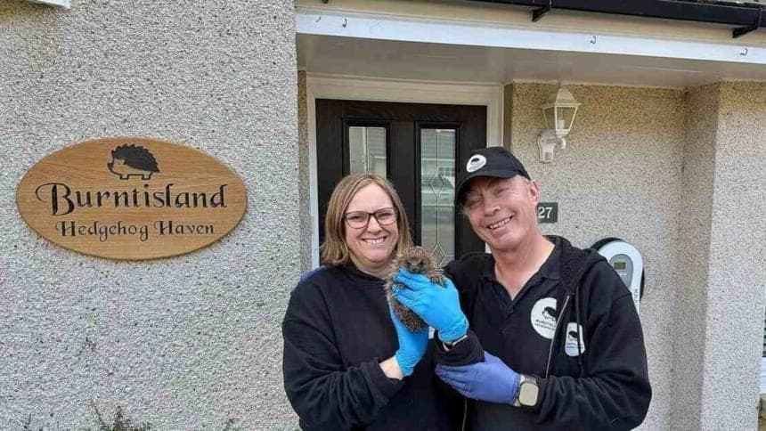 A Spiky Success Story: How One Couple Became Hedgehog Heroes in Scotland!