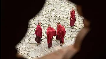 Unlocking Animal Advocacy: The Fifth Monk's Quest to Connect