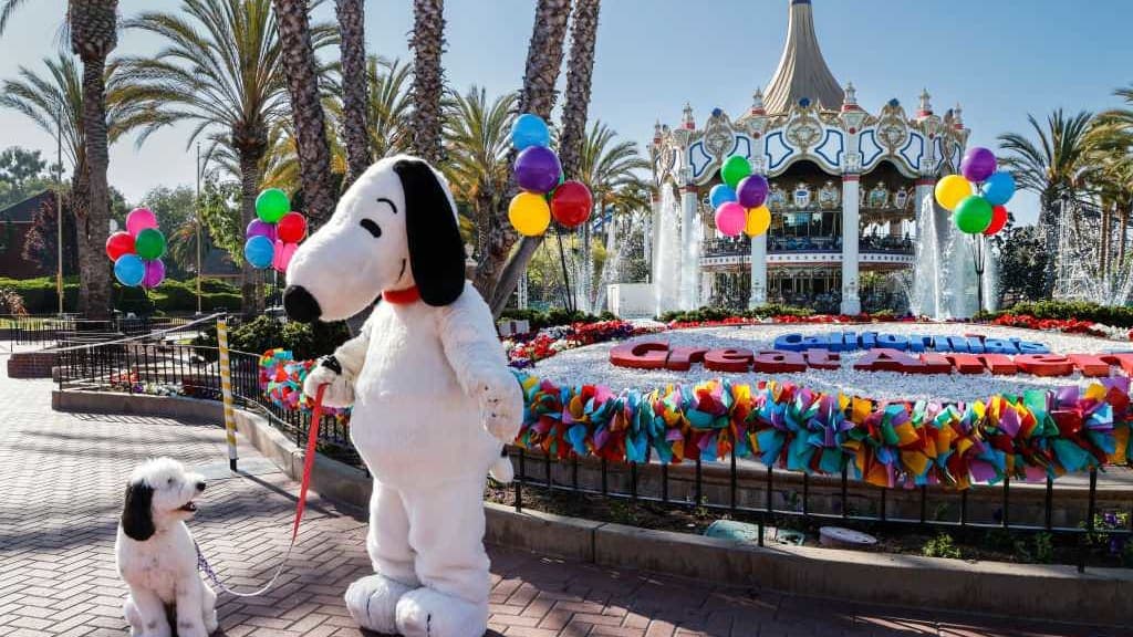 Ready for the Ride? Six Flags Names New CEO Amid Closures and Changes!
