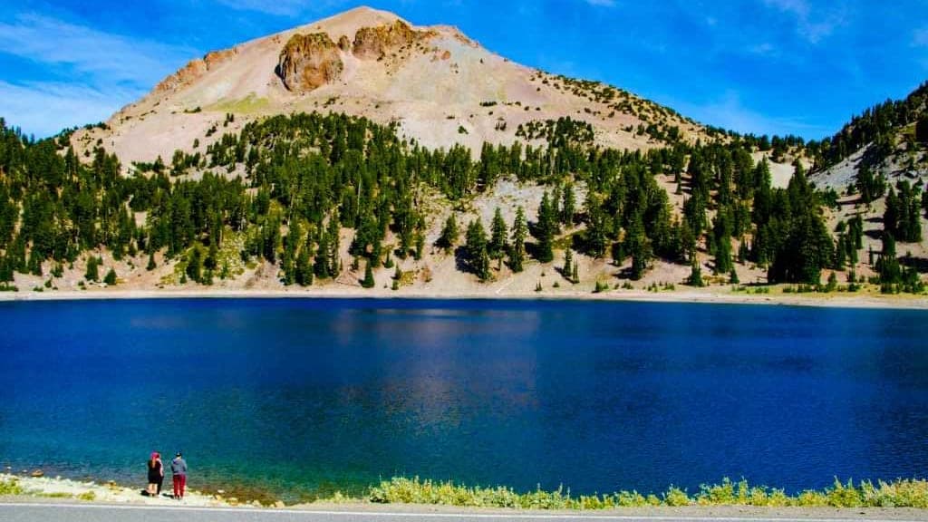 Meet the Fire Amoeba: The Tiny Organism Thriving in Scorching Hot Springs!