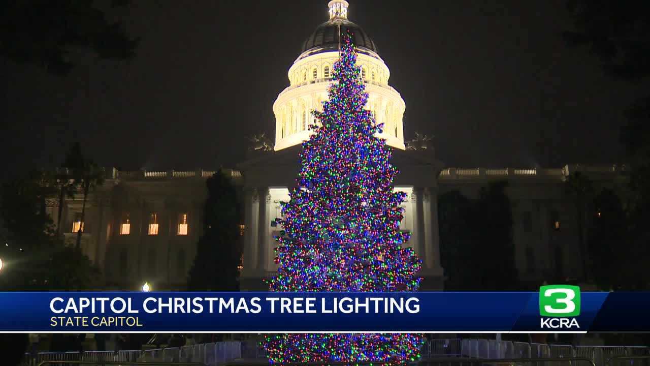 Twins Bring Holiday Spirit to Capitol After Devastating Loss