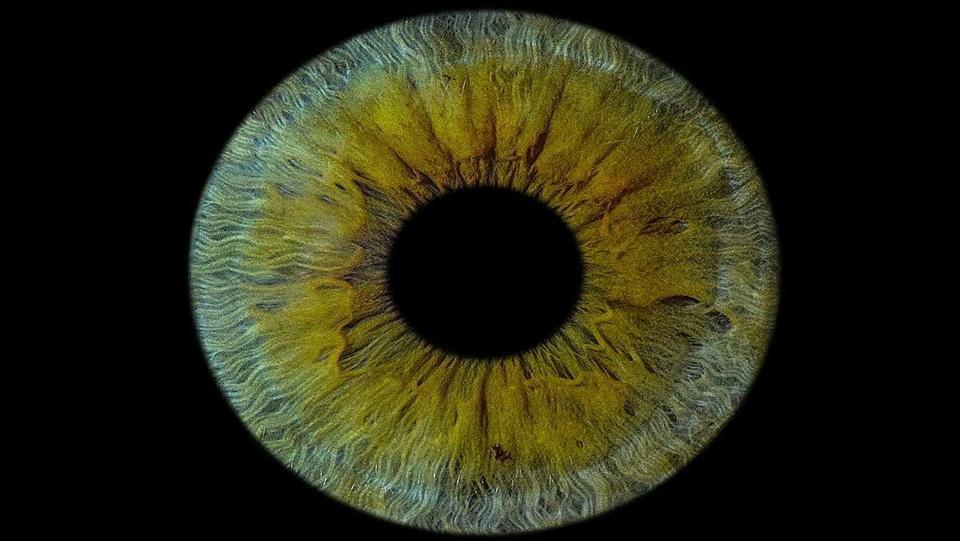 Forget Donor Lists: 3D-Printed Corneas Are Here to Restore Your Vision!
