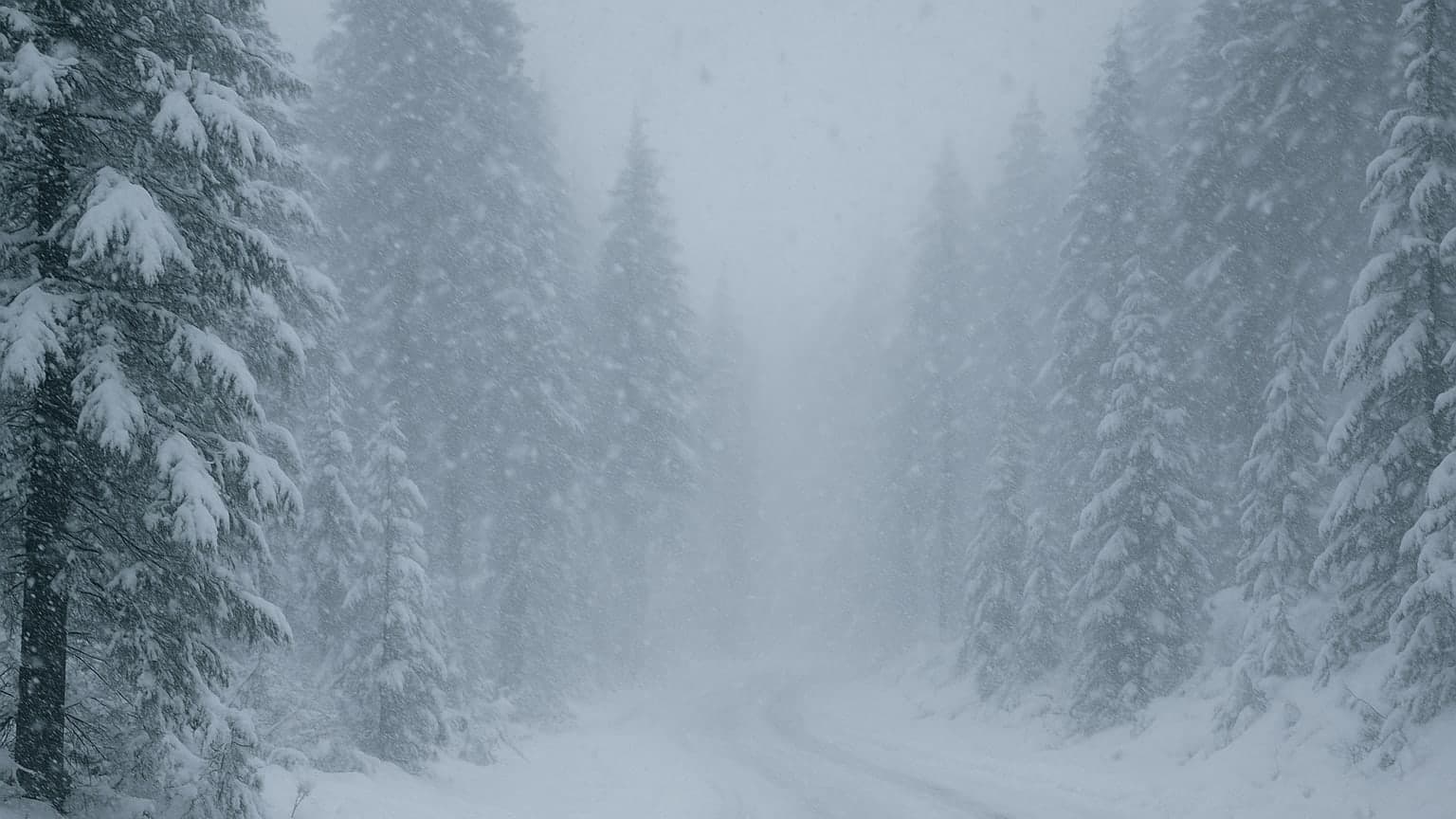 Sierra Snow Showdown: Is Your Travel Plan Ready for a Whirlwind?
