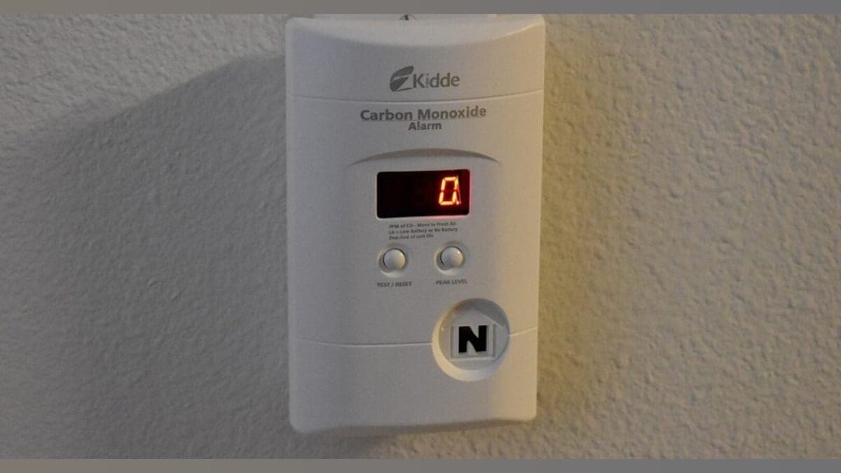 Say Goodbye to Carbon Monoxide Poisoning: The Antidote That Cleans Your Blood in Minutes!