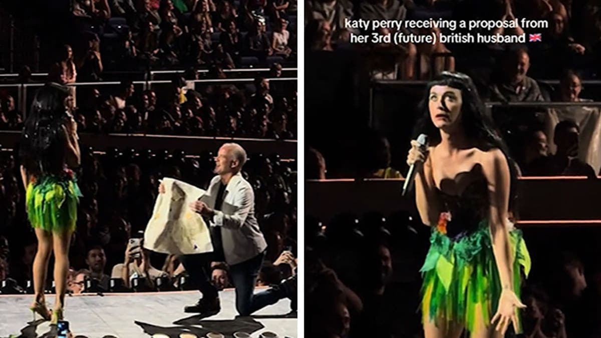 Katy Perry’s Concert Takes a Romantic Twist: A Proposal and a Hint of Love!