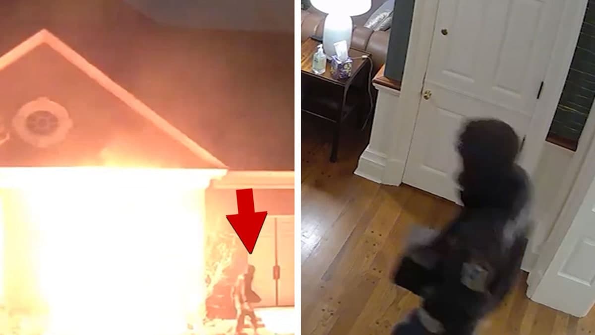 Molotov Cocktails, Governor's Mansions, and Poor Choices: A Tale of Ignition and Imprisonment