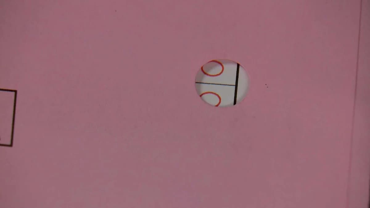 Holes in Your Mail-In Ballot: A Privacy Concern or Just a Design Flaw?