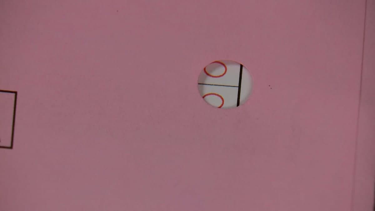 Holes in Your Mail-In Ballot: A Privacy Concern or Just a Design Flaw?