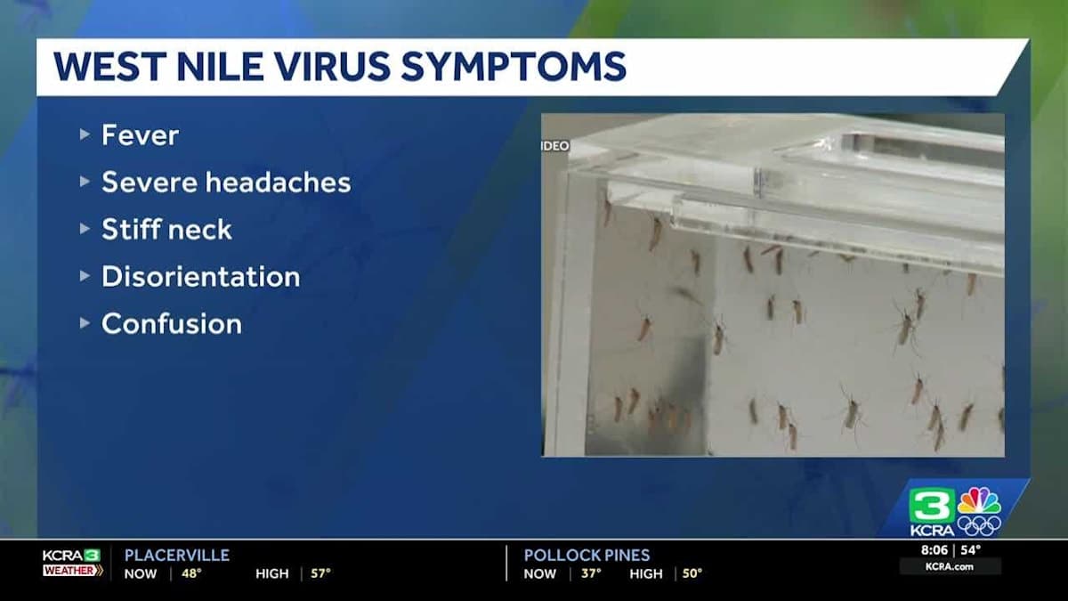 Beware the Buzz: San Joaquin County Reports Its First Human West Nile Virus Case of the Year!