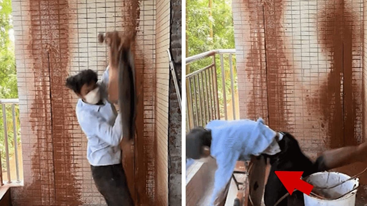 A Close Call: Construction Worker’s Brush with a Circular Saw