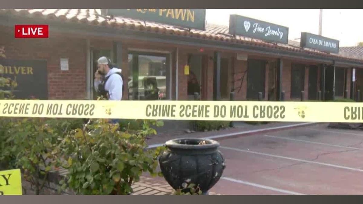 Caught Red-Handed: How a Pawn Shop Heist Exposed an International Crime Ring!
