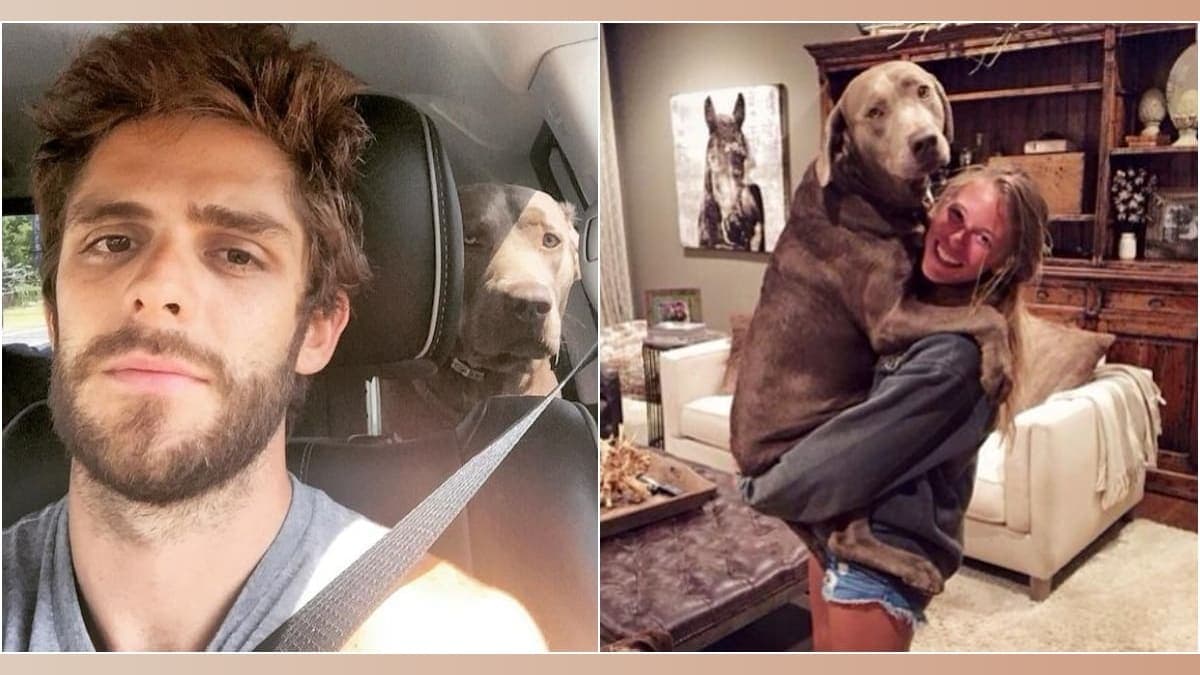 Thomas Rhett's Heartfelt Goodbye: Remembering Cash the Dog