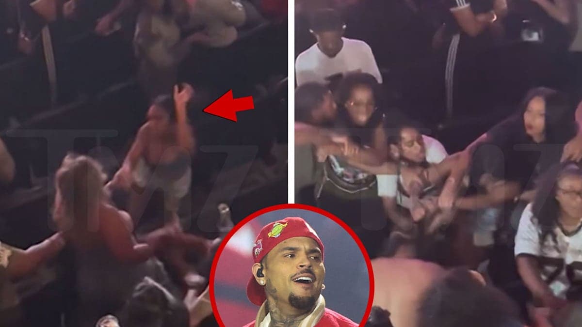 Concert Chaos: When Chris Brown’s Show Turned Into a Rumble in the Stands!