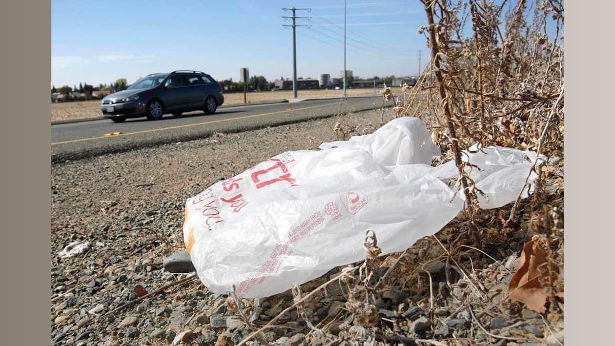 California Takes the Plastic Bag Fight to Court: Are Companies in Hot Water?