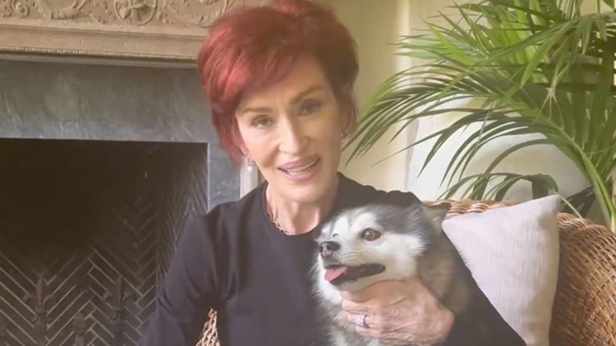 Sharon Osbourne's Heartfelt Farewell to Elvis: A Dog's Life and Legacy