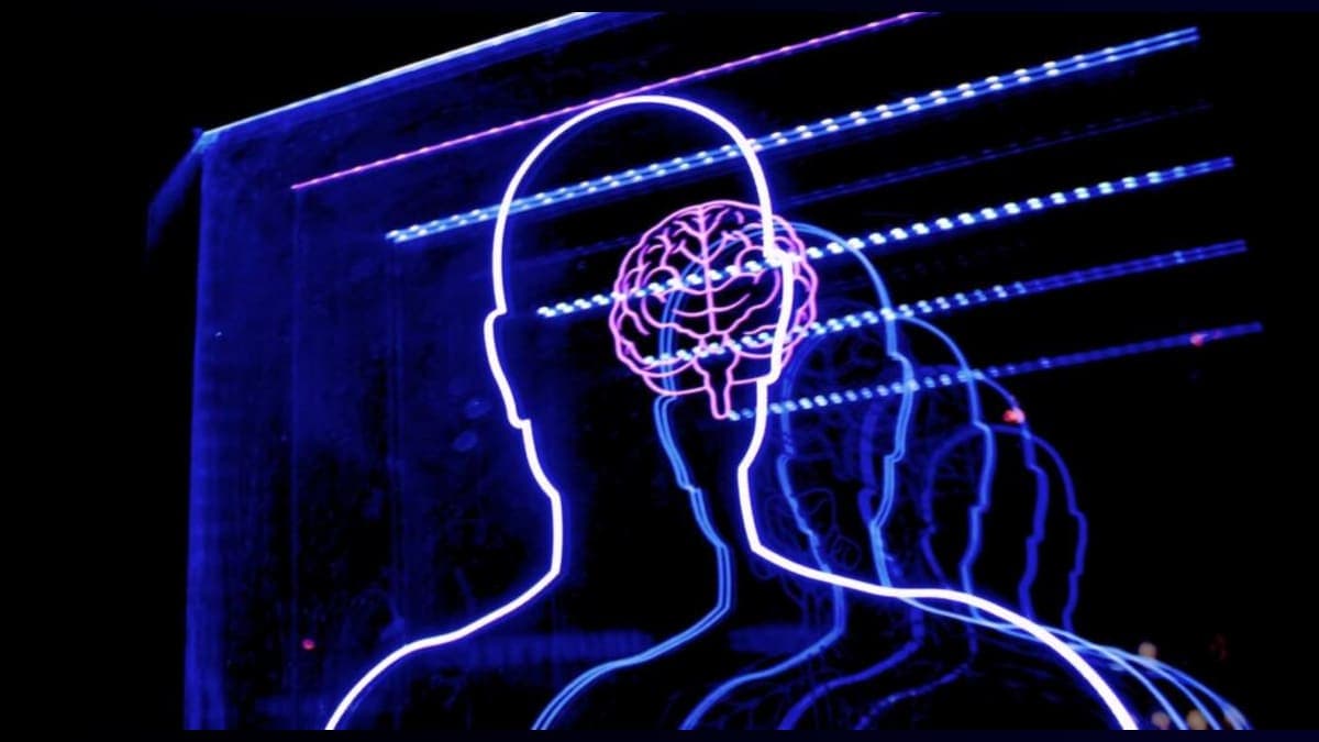 Could Vitamin K Be the Secret Weapon Against Alzheimer's?