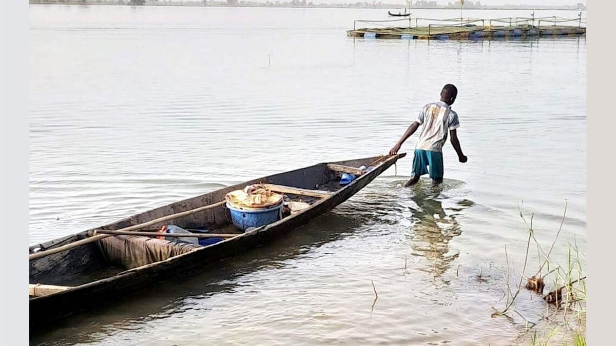 Niger's Awesome Health Win: How Ivermectin Helped Erase River Blindness!