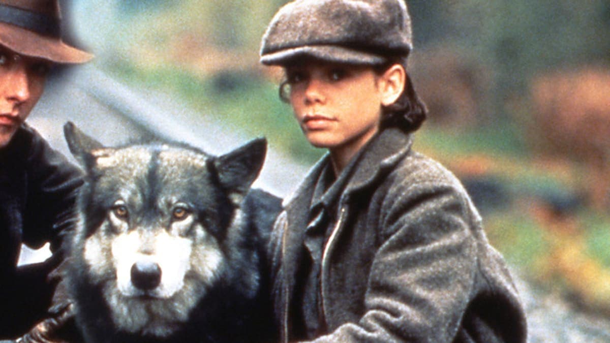 What Ever Happened to Natty Gann? The Journey Continues!