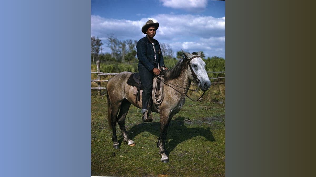 Cattle, Culture, and a 500-Year Legacy: The Seminoles' Epic Ranching Tale