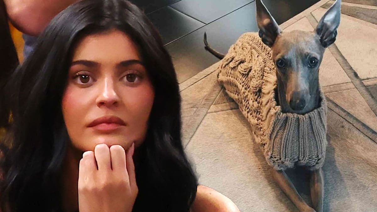 Kylie Jenner Says Goodbye to Norman: A Heartfelt Farewell to Her Furry Companion