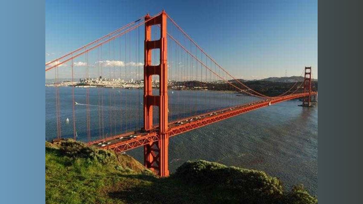 Feds on the Move: Bay Area Braces for an Immigration Showdown!