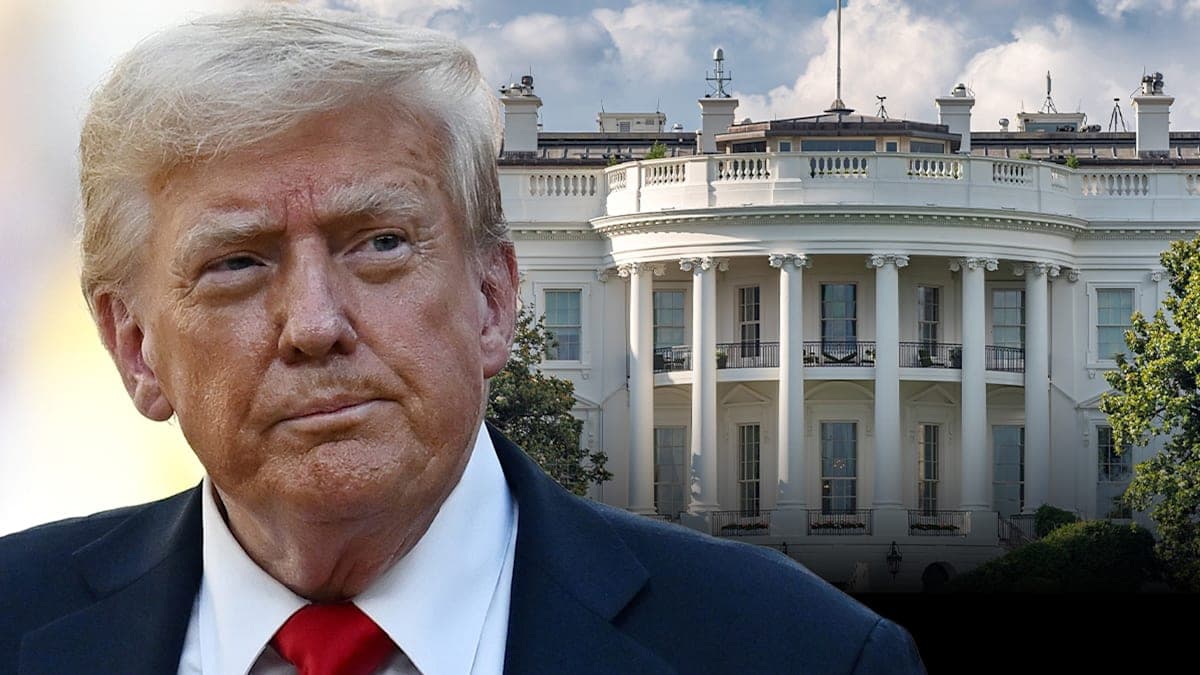 When the White House Timeline Gets Spicy: Scandals and Controversies Resurface!