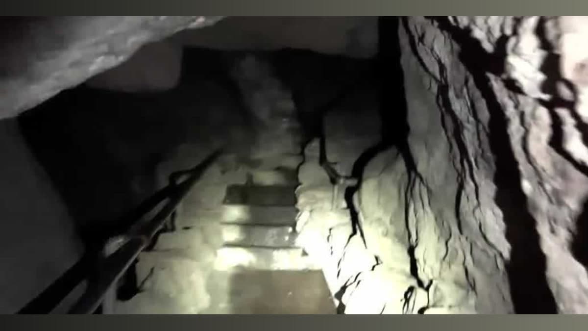 Caving with Bats: Your Ultimate Halloween Adventure Awaits!