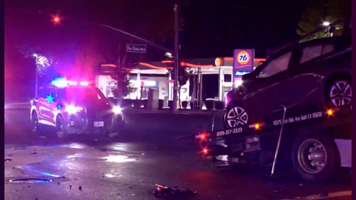 High-Speed Drama: Sacramento Pursuit Ends with a Crash and a K9 Bite!