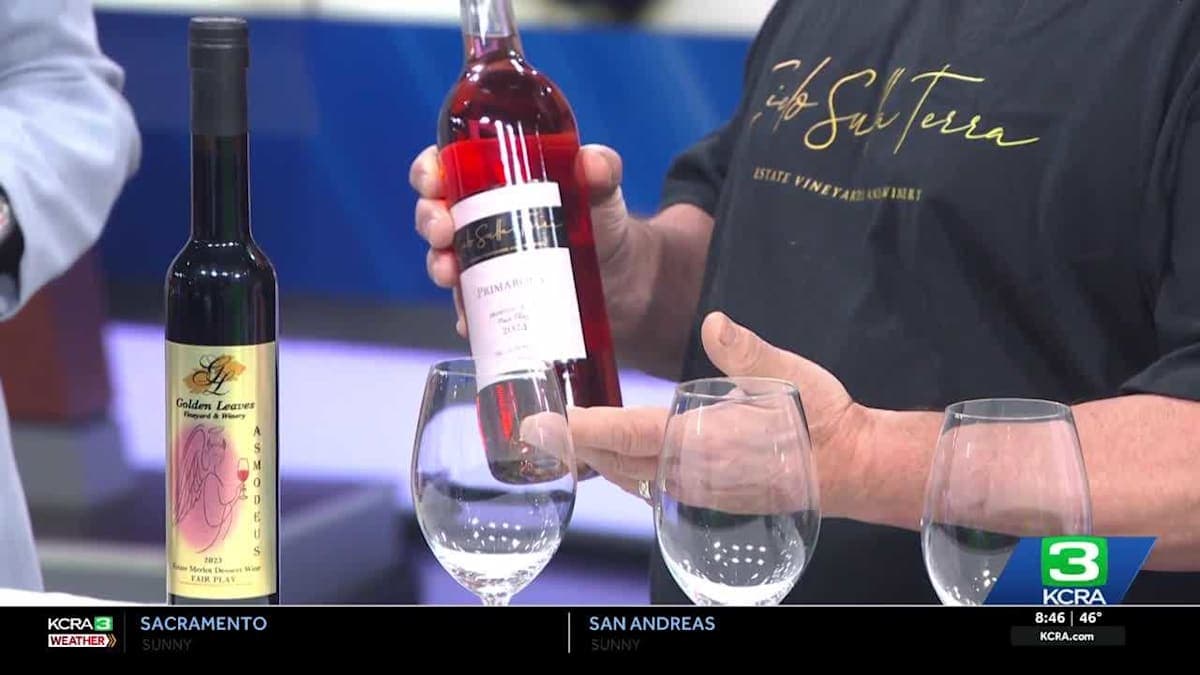Sip, Savor, and Celebrate: Foothill Wine Fest is Back with a Bang!