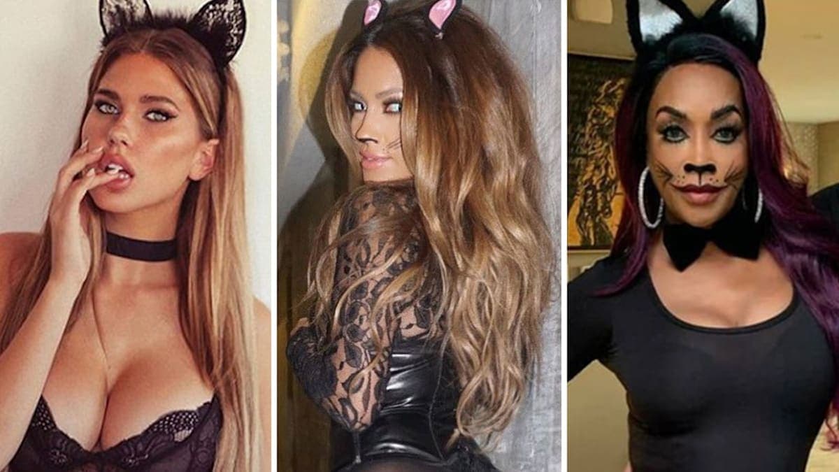 Celebrity Cat-tastrophes: Feline Fashion Steals the Show this National Cat Day!