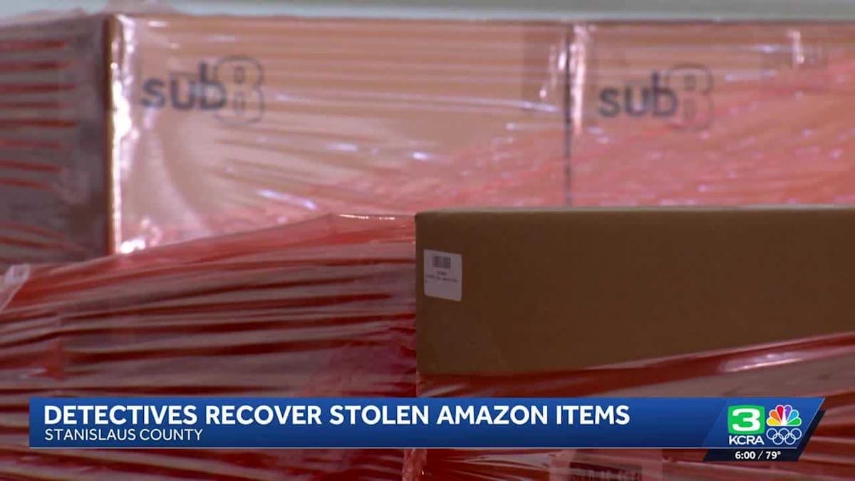 Caught in the Act: Detectives Unravel a $500k Amazon Heist Gone Wrong!